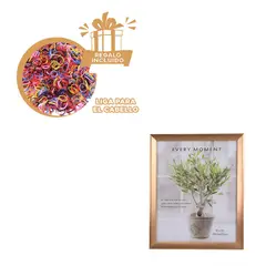 RYBIU IMPORT - Pack12 Cuadro para Imagenes Pequeñas Y+Ligas de Regalo