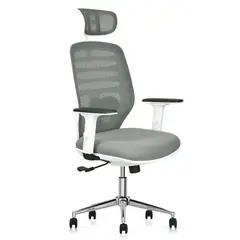 OFIDEAS - Silla Giratoria Ergonómica Presidencial Led Color Gris