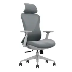 OFIDEAS - Silla Ergonómica Ejecutiva One Color Gris