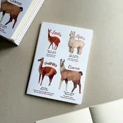 BOCETTOS - Cuadernillo Auquénidos