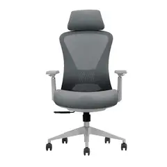 OFIDEAS - Silla Giratoria Ergonómica Presidencial One Color GrisGris