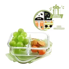 GENERICO - Pack6 Fiambrera para Alimentos Tapa Verde Y+Regalo Agendita