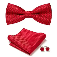 KAST PE - Set de corbata michi jacquard Crimson con pañuelo y gemelos