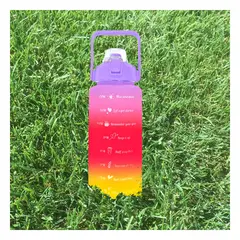 GENERICO - Pack6 Botella de Plastico para Bebidas Multicolor 2L