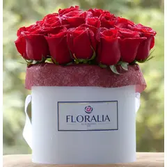 FLORALIA - Arreglo de Flores - Cabuchón - Rosas Rojas