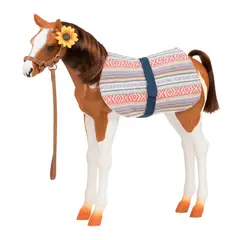 OUR GENERATION - Caballo pinto paso fino foal