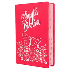 GENERICO - Biblia Rosada con mariposas plateadas