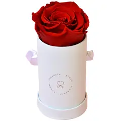 BLOOM - Arreglo con rosas eternas o preservadas rojas