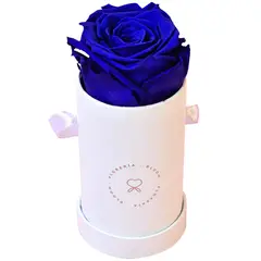 BLOOM - Arreglo con rosas eternas o preservadas azules