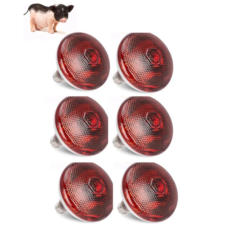 Foco Infrarrojo Calefacción Para Cerdos Perros Pollos 200w Pack X6