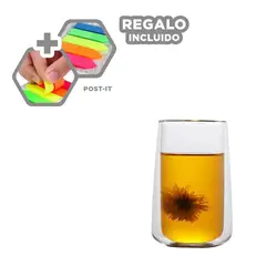 GENERICO - Pack12 Recipiente Refresco en Ancho Y+Banderitas Adhesivas