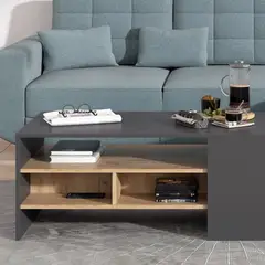 R&R MUEBLES - Mesa de Centro Nagumo Negro y Manzano