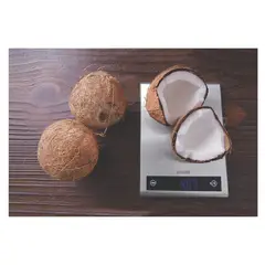 TRAMONTINA - Balanza Digital de Cocina de Acero Inoxidable