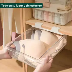 ELMEJORPRECIO - Organizador Colgante para Closet de Ropa Interior Tipo B Brasieres