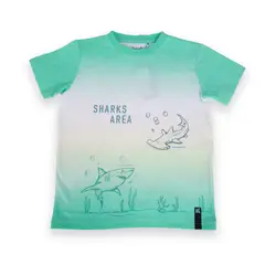 PILLIN - Polo Niño PVA642-24VER