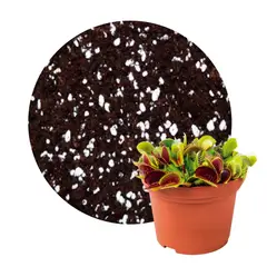 GENERICO - Sustrato Plantas Carnívoras bolsa x 4 Litros (1.5 kg)