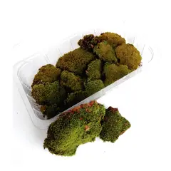 GENERICO - Musgo Vivo Decorativo Bonsai Terrarios Paisajismo