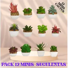 GENERICO - SET 12 MINI SUCULENTAS PLANTAS ARTIFICIALES cactus maceta