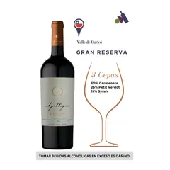 APALTAGUA - Gran Reserva Winemaker´s edition