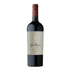 APALTAGUA - Vino Tinto Gran Reserva Malbec 750ml Chile