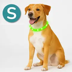 ALL FOR PAWS - Collar para perros led recargable S