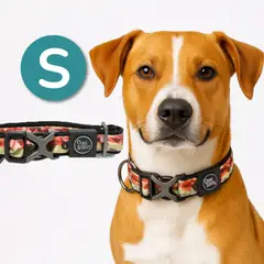 ALL FOR PAWS - Collar para perros Premium Camouflage - S