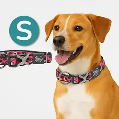 ALL FOR PAWS - Collar Para Perros Premium Leopard S