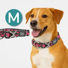 ALL FOR PAWS - Collar Para Perros Premium Leopard M