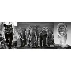 RAVENSBURGER - Rompecabezas 1000 pz pantera elefante y león blanco y negro