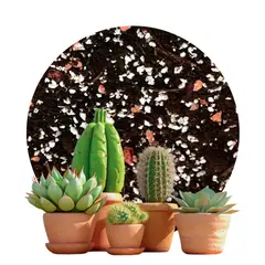 GENERICO - Sustrato Cactus y Suculentas Premium 2 Kilos (4 Litros)