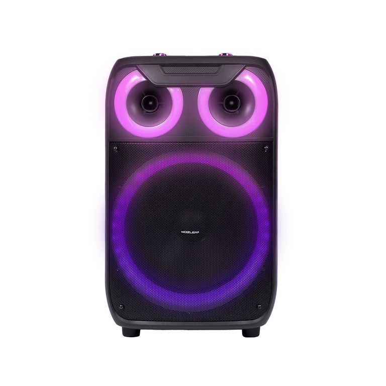 Parlante Alta Potencia Bluetooth Inalámbrico 1600w ERWIN-102