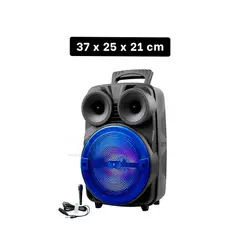 GENERICO - Pack4 Reproductor Acustico y Duradero Y+Regalo Stickers