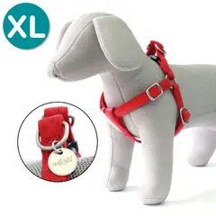 CROCI - Arnes para perros Vanity Rojo - XL