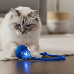 AMICATS - Pelota Interactiva con Cuerda para Gatos y Perros Azul