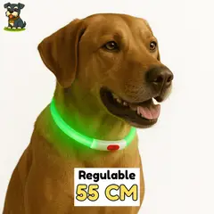 HAMACAS LIZARASO - Collar LED de 55 cm de Color Verde - Peluchin Store