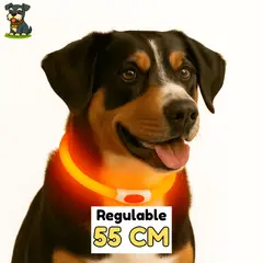 HAMACAS LIZARASO - Collar LED de 55 cm de Color Naranja - Peluchin Store