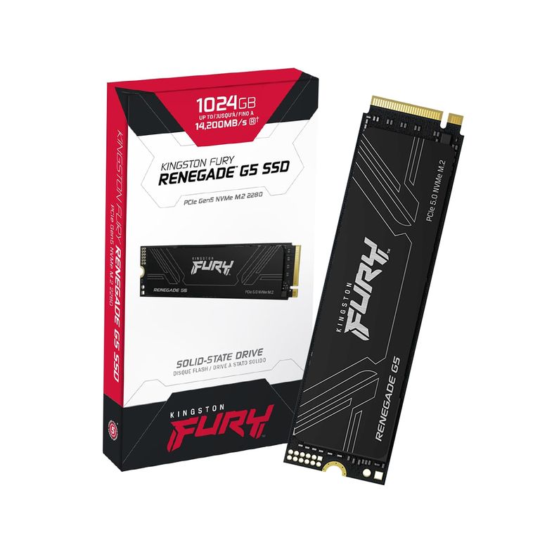 Unidad FURY Renegade SSD G5 1TB M2 NVMe PC Ps5 Gamer