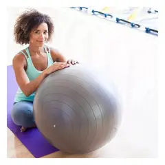 GENERICO - Pack4 Pelota para Yoga de 65cm en Plomo Y+Regalo Agendita
