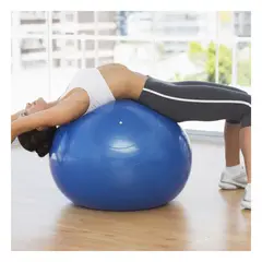 GENERICO - Pack4 Pelota para Yoga de 75cm en Azul Y+Regalo Agendita