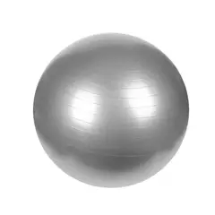 GENERICO - Pelota de Entrenamiento para Yoga de 55cm en Color Plomo