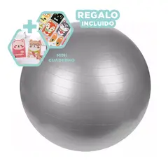 GENERICO - Pelota Deportiva de 65cm en Tono Plomo Y+Regalo Agendita