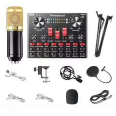 SEISA - Kit Micrófono Condensador de estudio Tarjeta de Sonido interfaz V8s