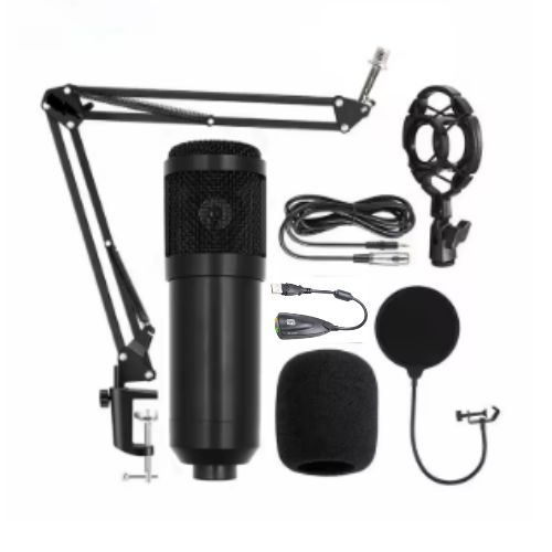 Kit Micrófono Condensador Profesional Brazo Soporte Antipop BM800TZ