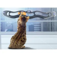 GENERICO - JUGUETE PISTA DE VENTANA PARA GATOS