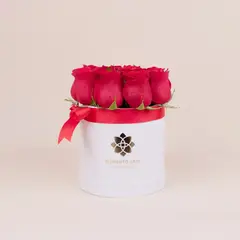 GENERICO - Box Regalo Rosas Rojas