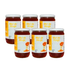 GENERICO - PACK MIEL DE ABEJA ALGARROBOS ORGANICOS   915GR x 6 Unidades