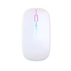 RYBIU IMPORT - Mouse Recargable con Entrada USB con Luz Led de Color Blanco