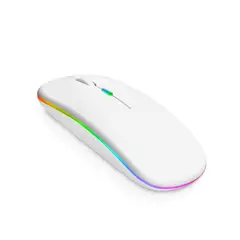 RYBIU IMPORT - Pack2 Mouse Recargable con Entrada USB con Luz Led Blanco