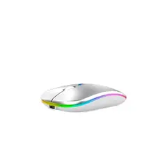 RYBIU IMPORT - Pack2 Mouse Recargable con Entrada USB con Luz Led Plata