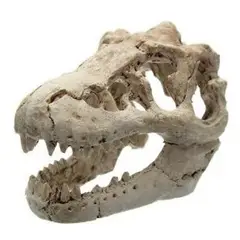 GENERICO - ADORNO PARA ACUARIO- CABEZA DE TIRANOSAURIO REX 8 x 6 x 6 cm